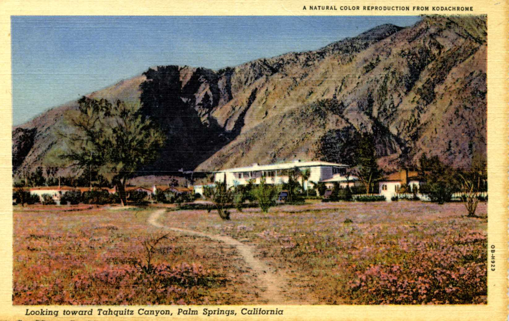 From the Agua Caliente Cultural Museum