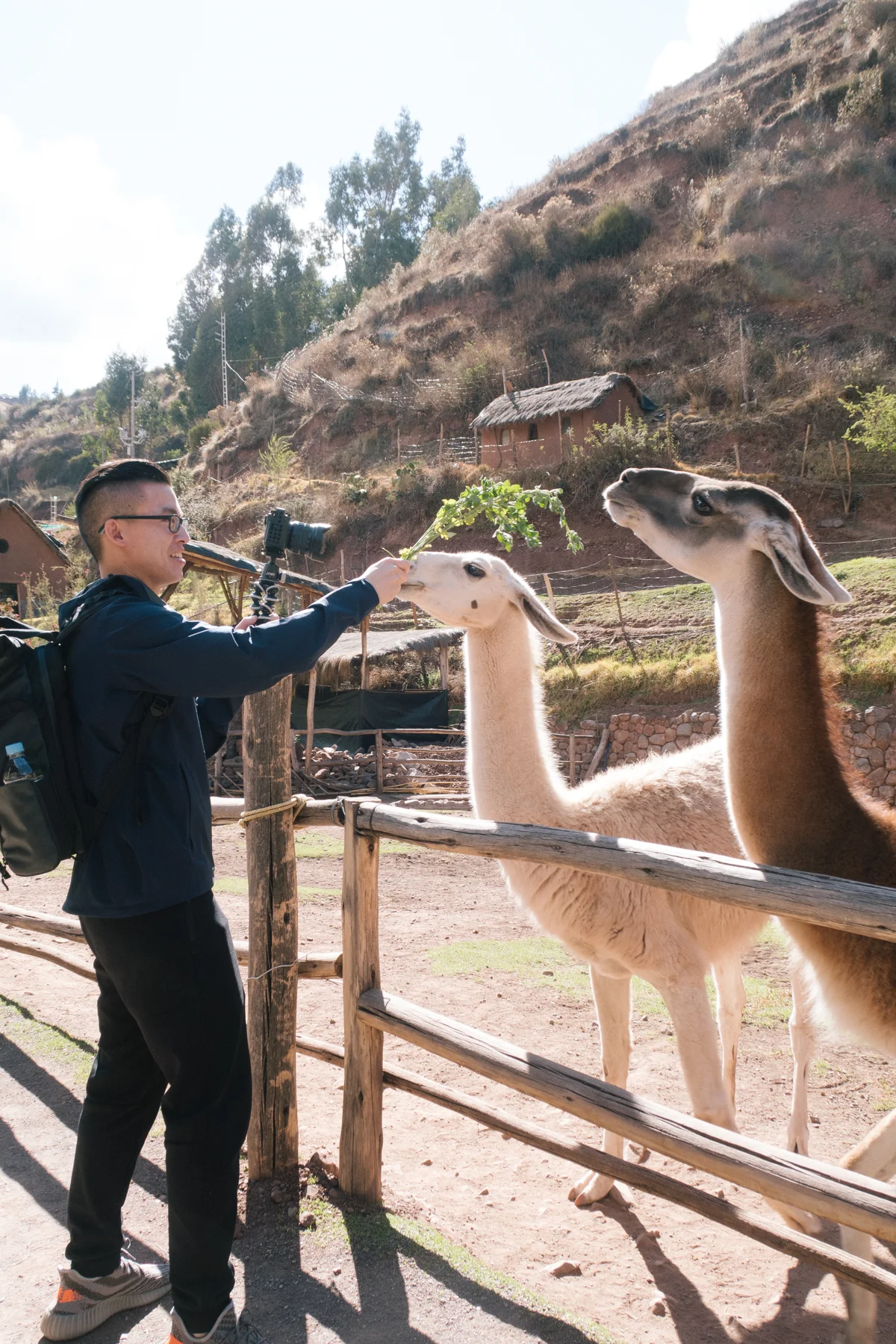 C having too much fun feeding the llamas. Can't wait to see the footage!