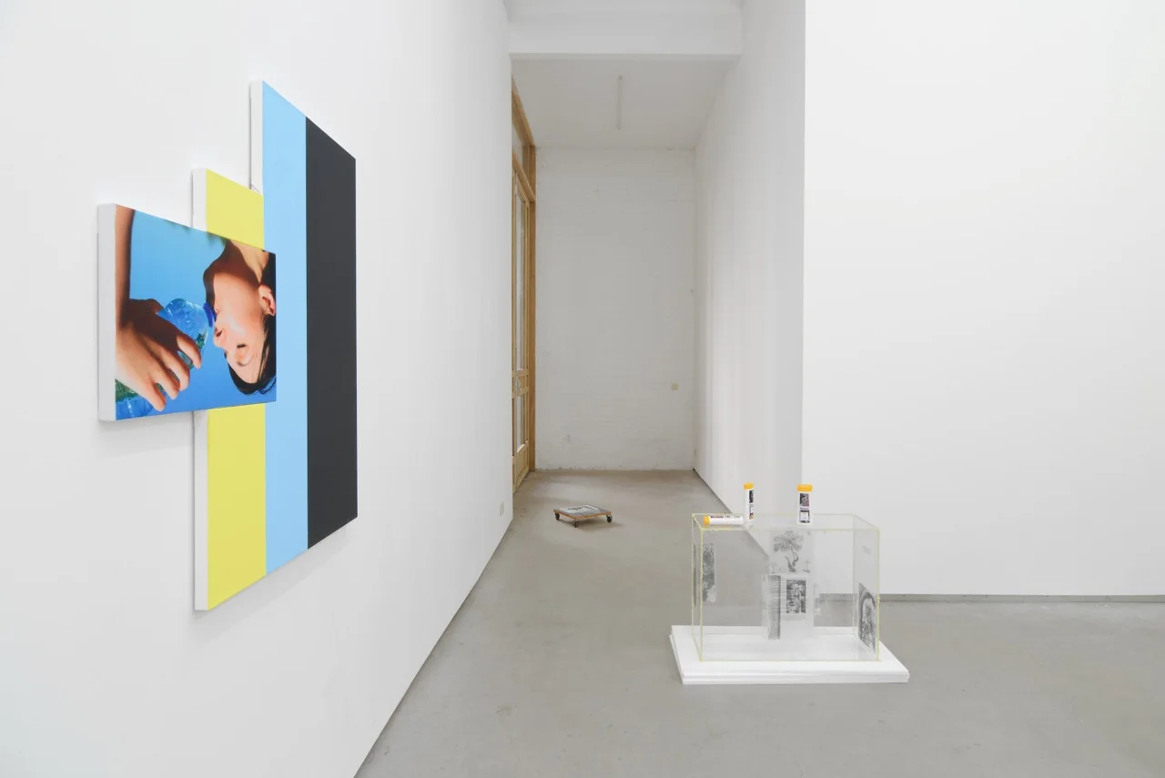 … / FOREVER YOUNG, Julia Wachtel, Uri Aran, Bitsy Knox, group show at Catherine Bastide gallery, Brussels, 2014, exhibition view