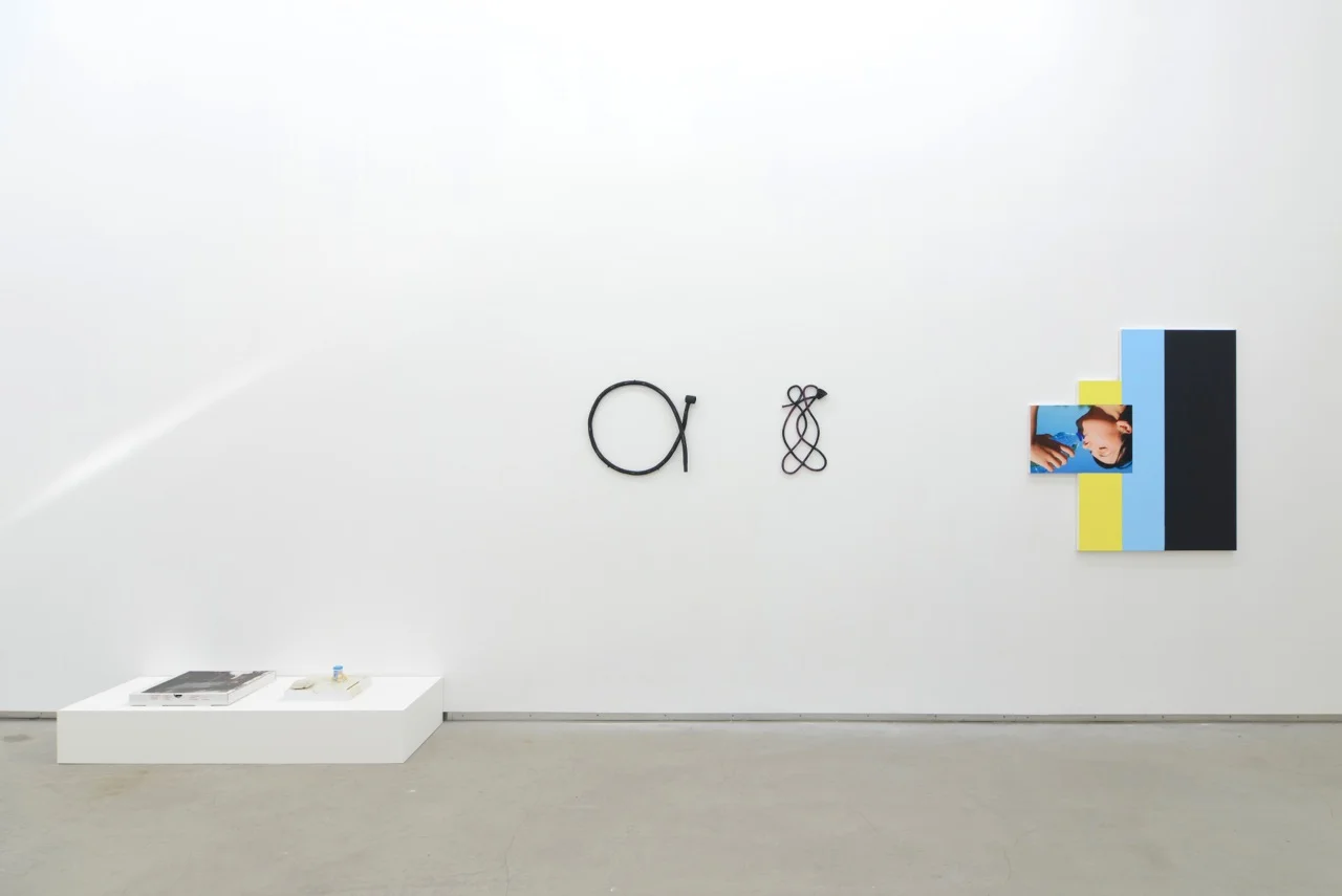 … / FOREVER YOUNG, Uri Aran, Anna Mayer, Julia Wachtel, group show at Catherine Bastide gallery, Brussels, 2014, exhibition view