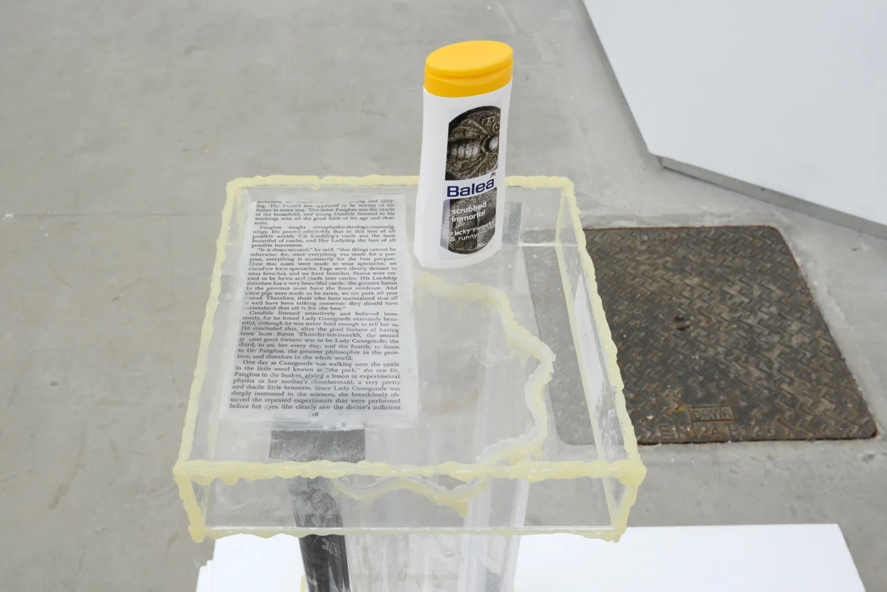 Bitsy Knox, Constantly Activated Gyre of the Undead , 2014, plexiglass, glue, cust David Caille, L.O.V.E., 2014 (detail)