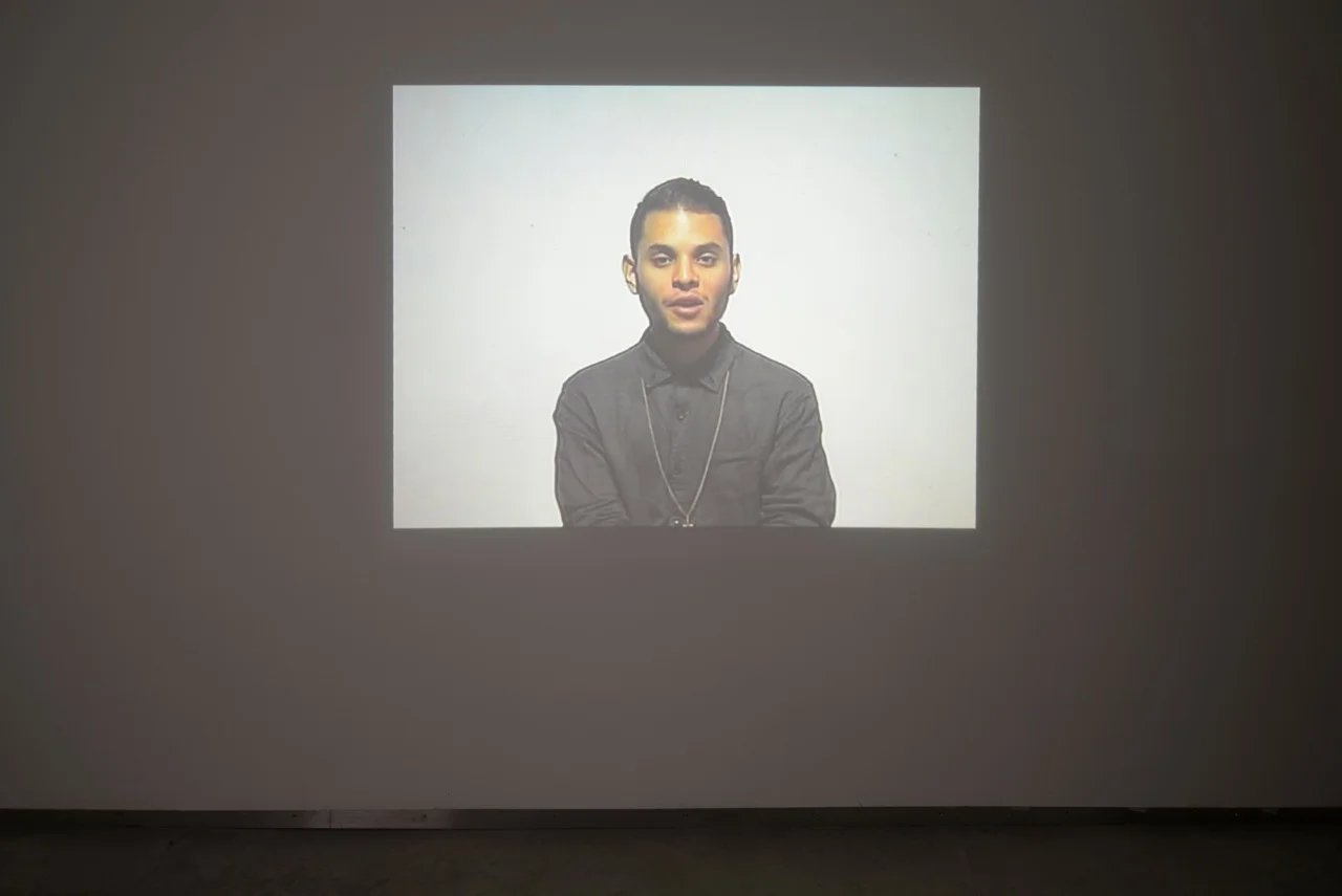 Uri Aran, Chimpanzee , 2013, video, colour and sound, TRT: 23:58 minutes, edition 1/5, 2 AP