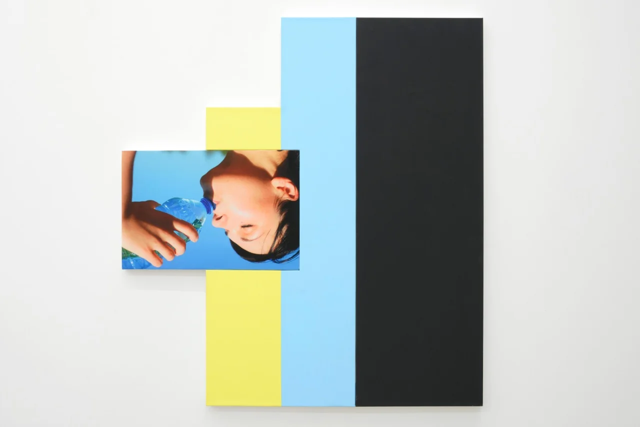  Julia Wachtel, Acv2,4 , 2012, flashe on canvas, digital print on canvas, 117 x 108,5 cm