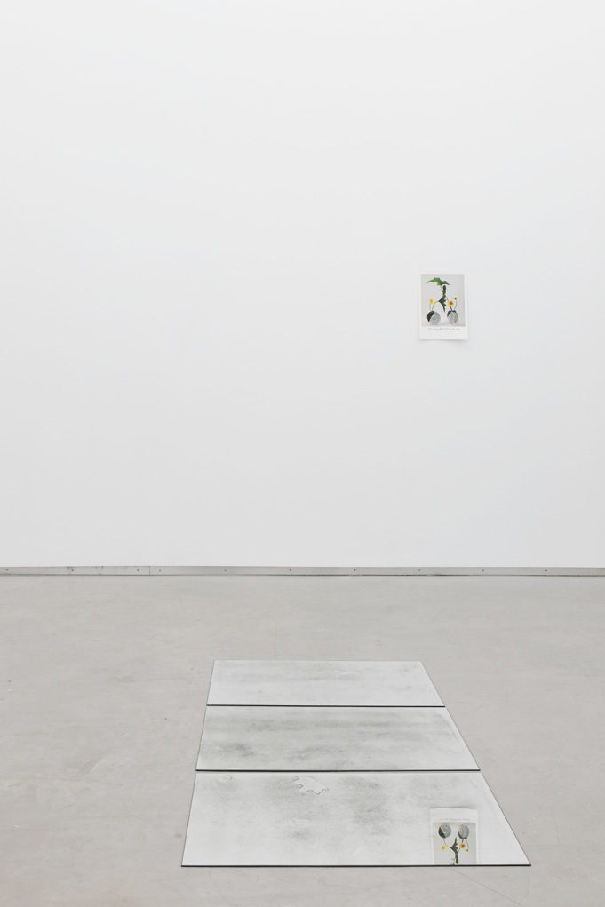 Constellation of Forms and Processes , Catherine Bastide gallery, Brussels, 2012, exhibition view