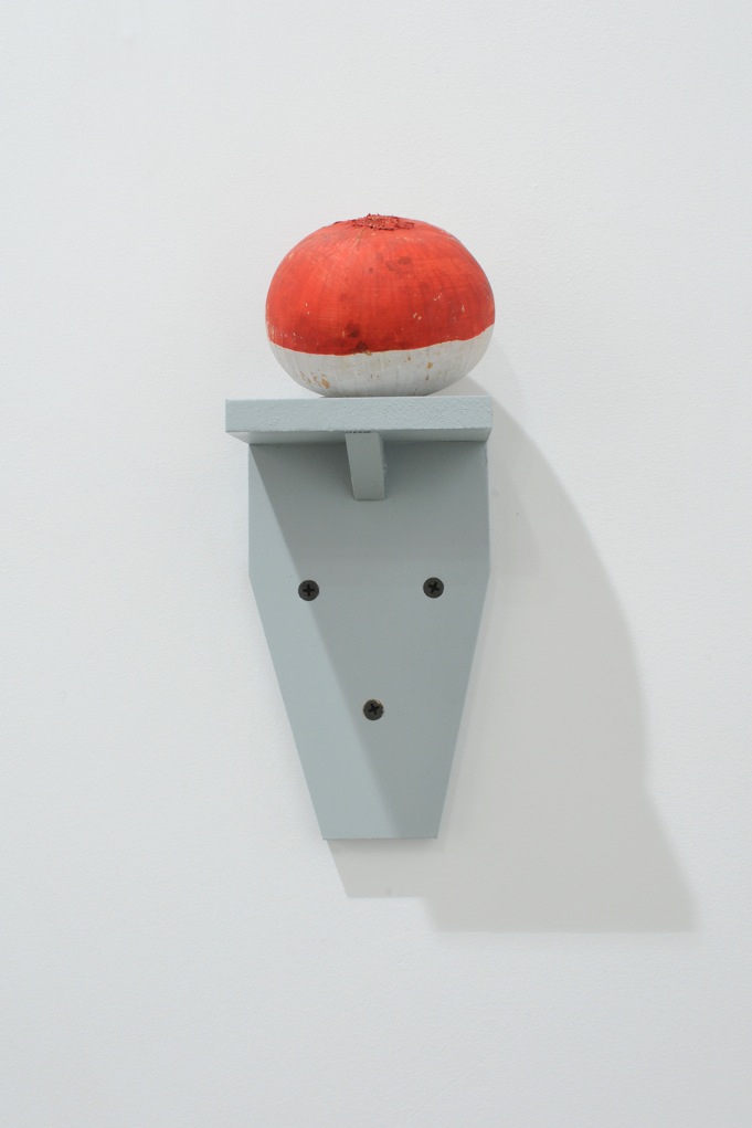Polis or the Garden or Human Nature in Action (Belgian version) , 2012, painted onions on wood shelves