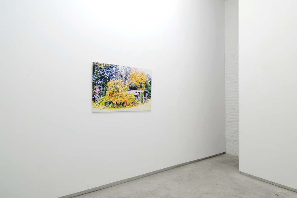 Ed Johnson, Catherine Bastide project room, Brussels, 2012, exhibition view