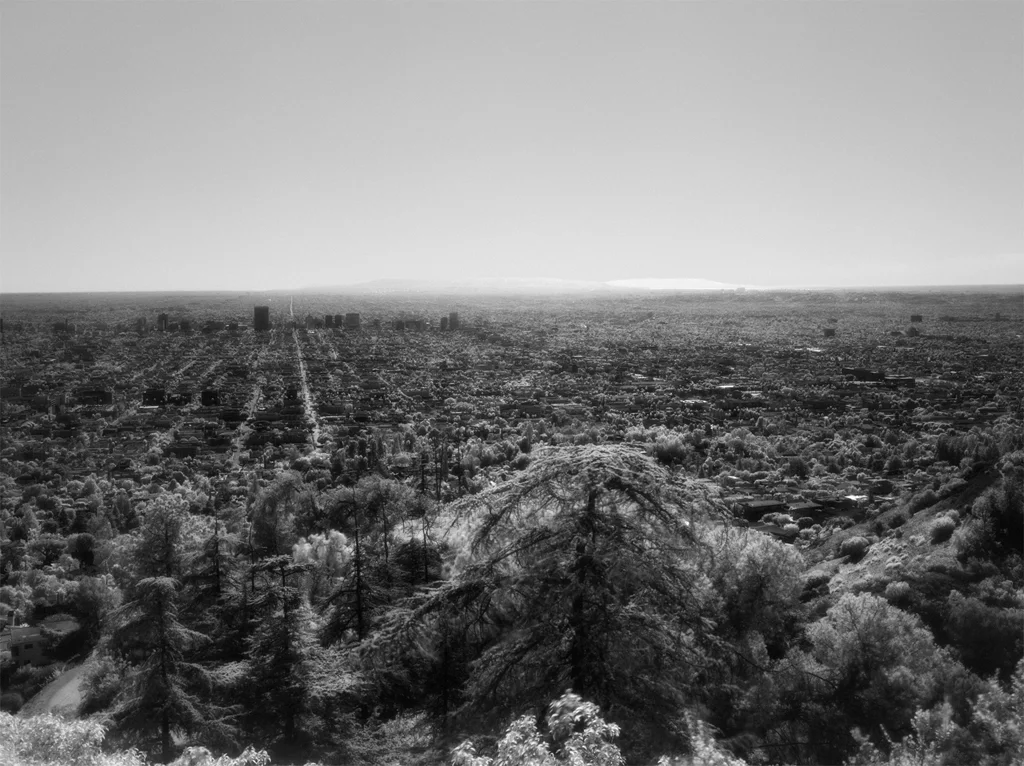 Geert Goiris, LAIR, 2010
