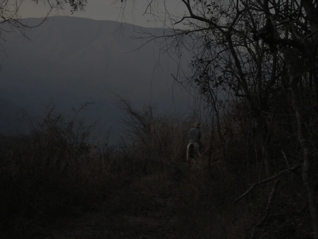 Jean-Pascal Flavien, Cowboy photo (no05) , 2011, c-print behind tinted acrylic glass, 60 x 80 cm
