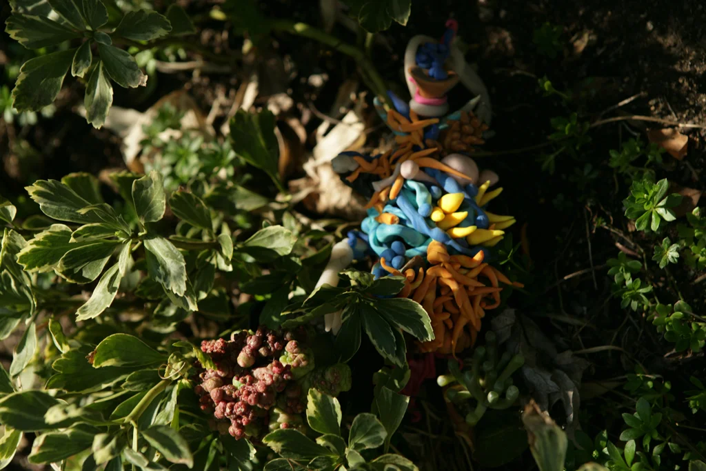 Janaina Tschäpe, Volva Capelini, Botaninca, 2005, R-print, 8 5/8 x 13 inches