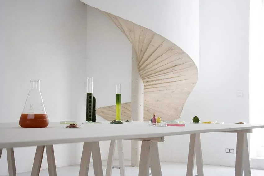 beau comme la rencontre fortuite d