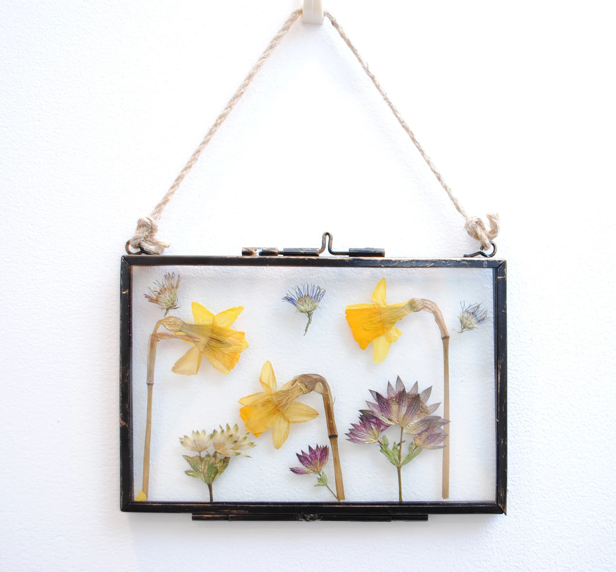 Gilded Pressed Flower Frames II