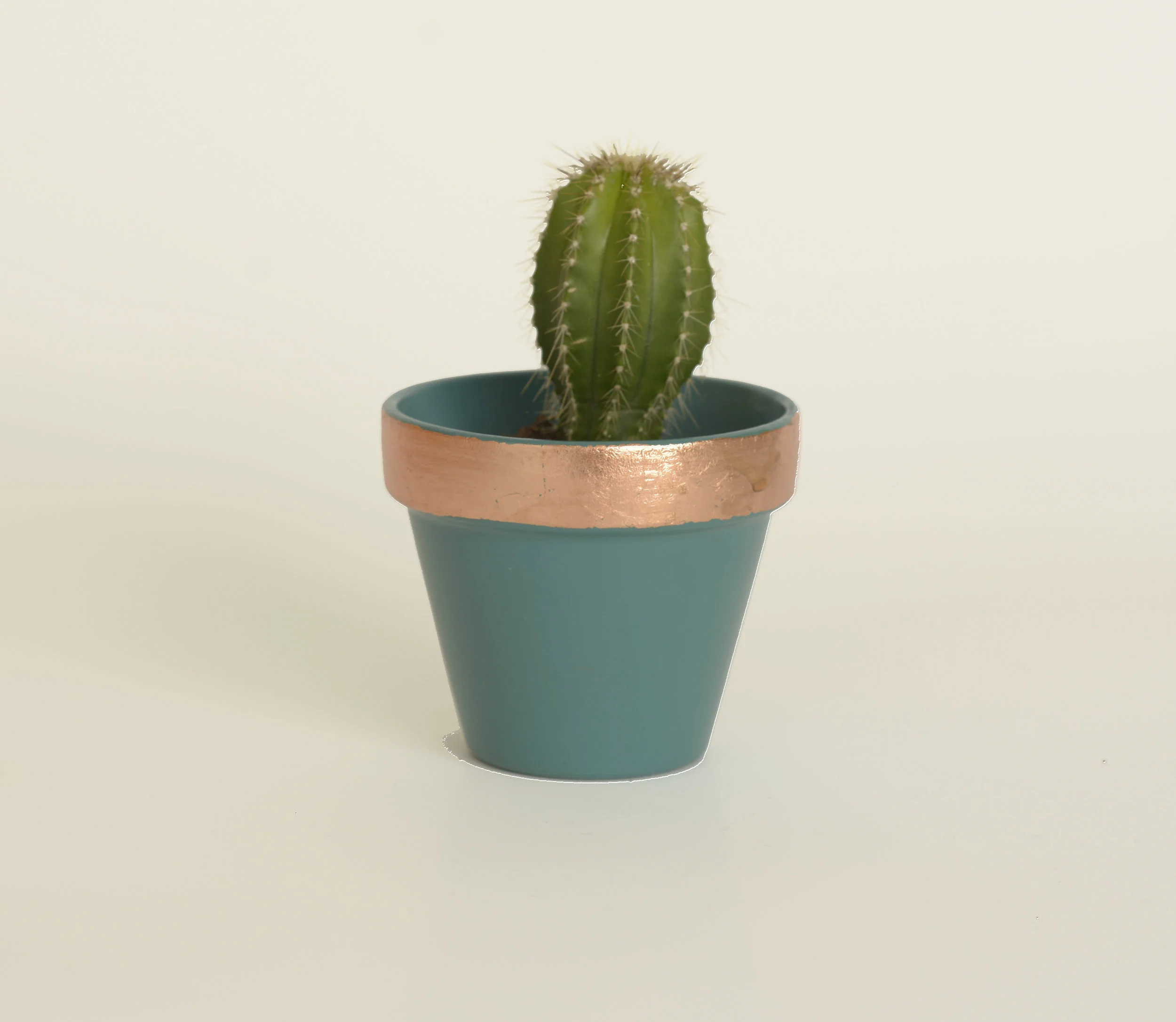 Small Plant Pot Turqoise.jpg