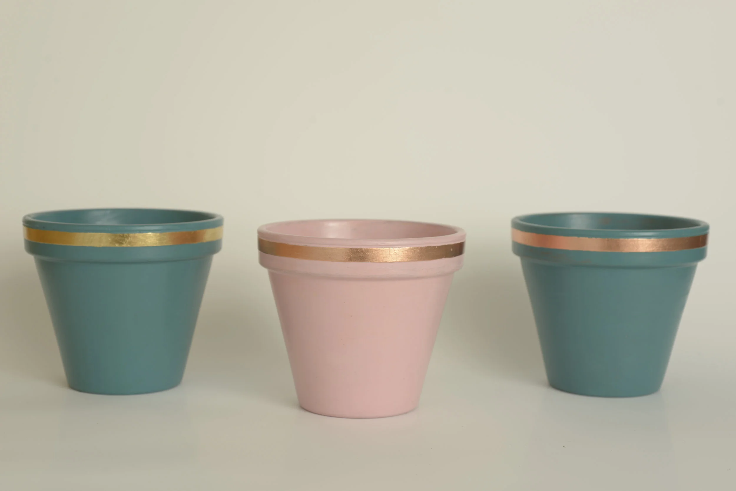 Large Plant Pots - Selection.jpg