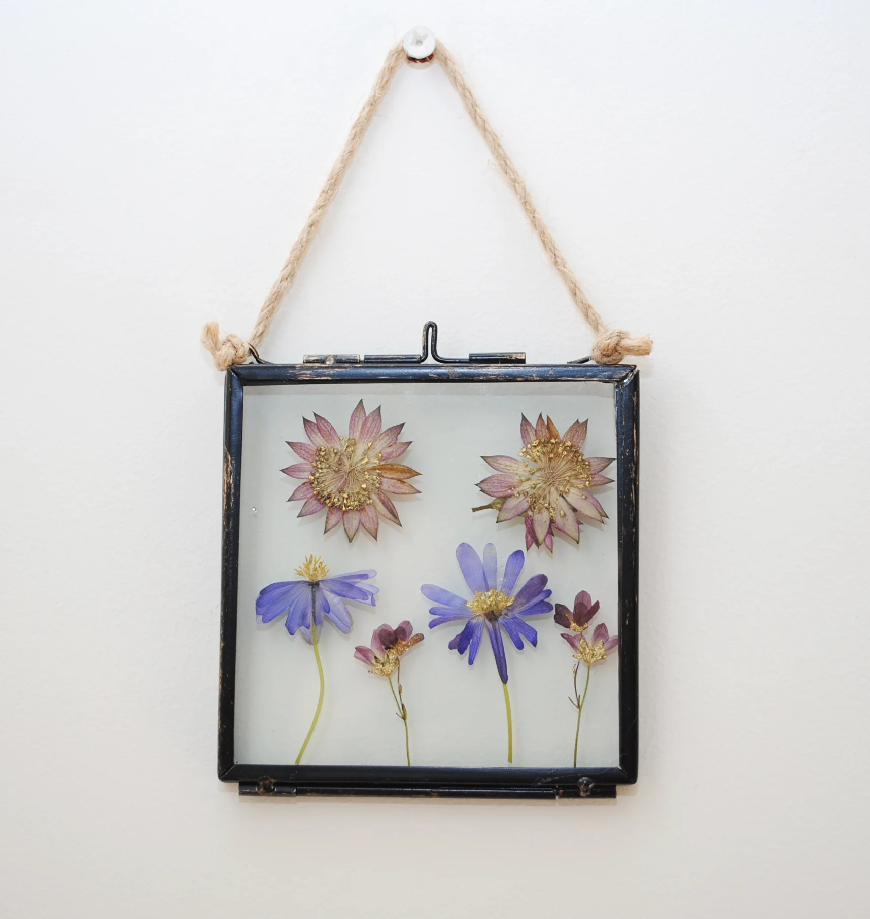Gilded Pressed Flower Frame VII