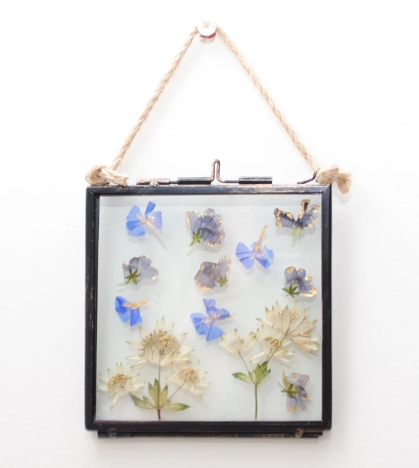 Gilded Pressed Flower Frame XVI