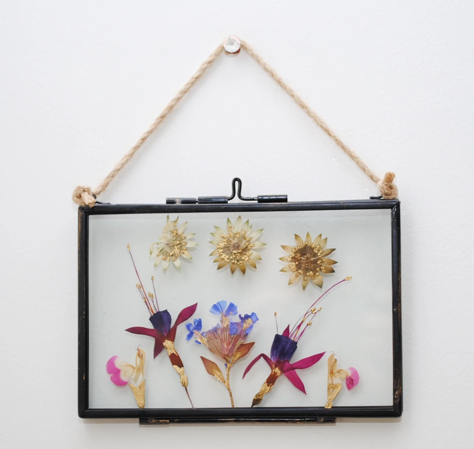 Gilded Pressed Flower Frames XVIIII