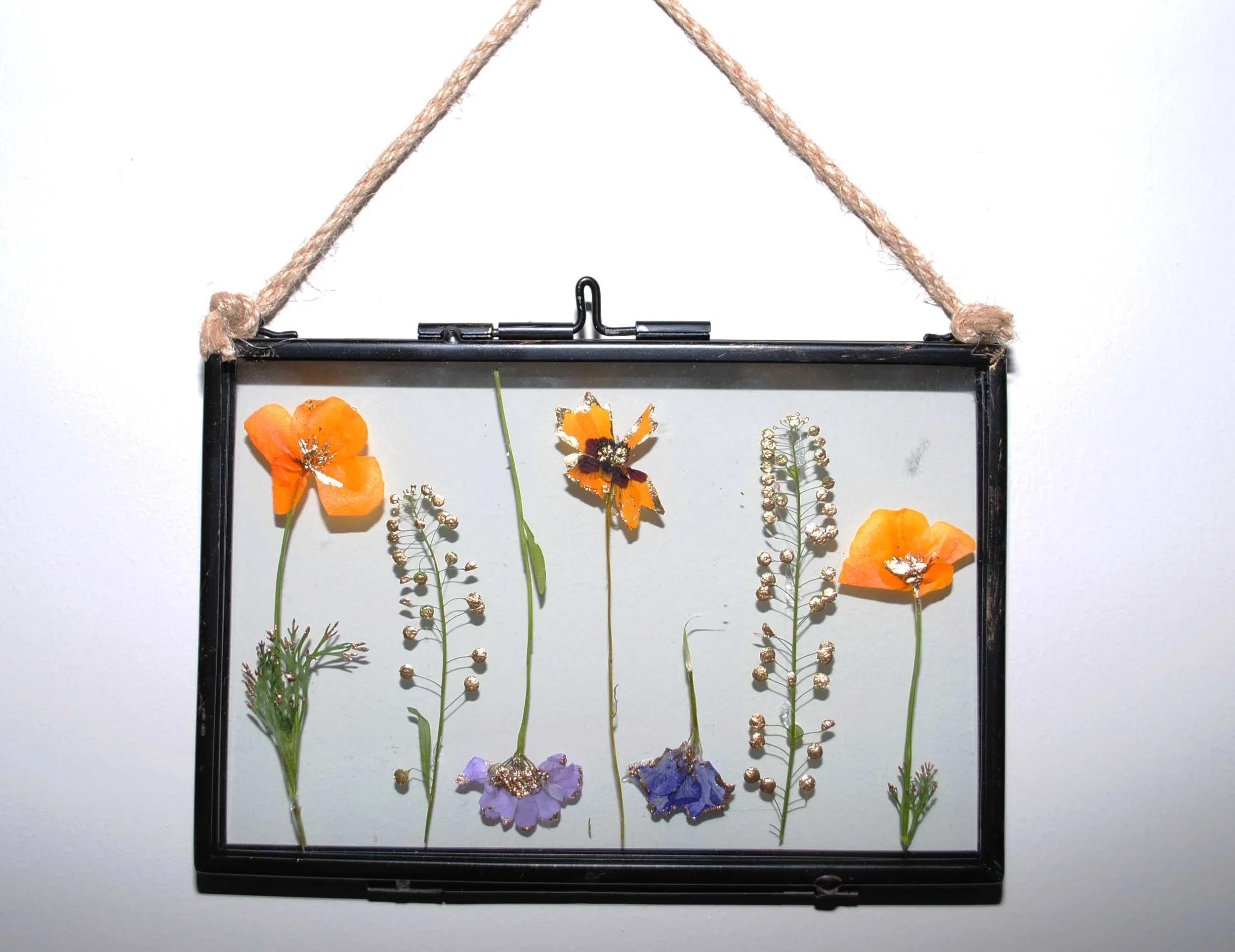 Gilded Pressed Flower Frame XXIV