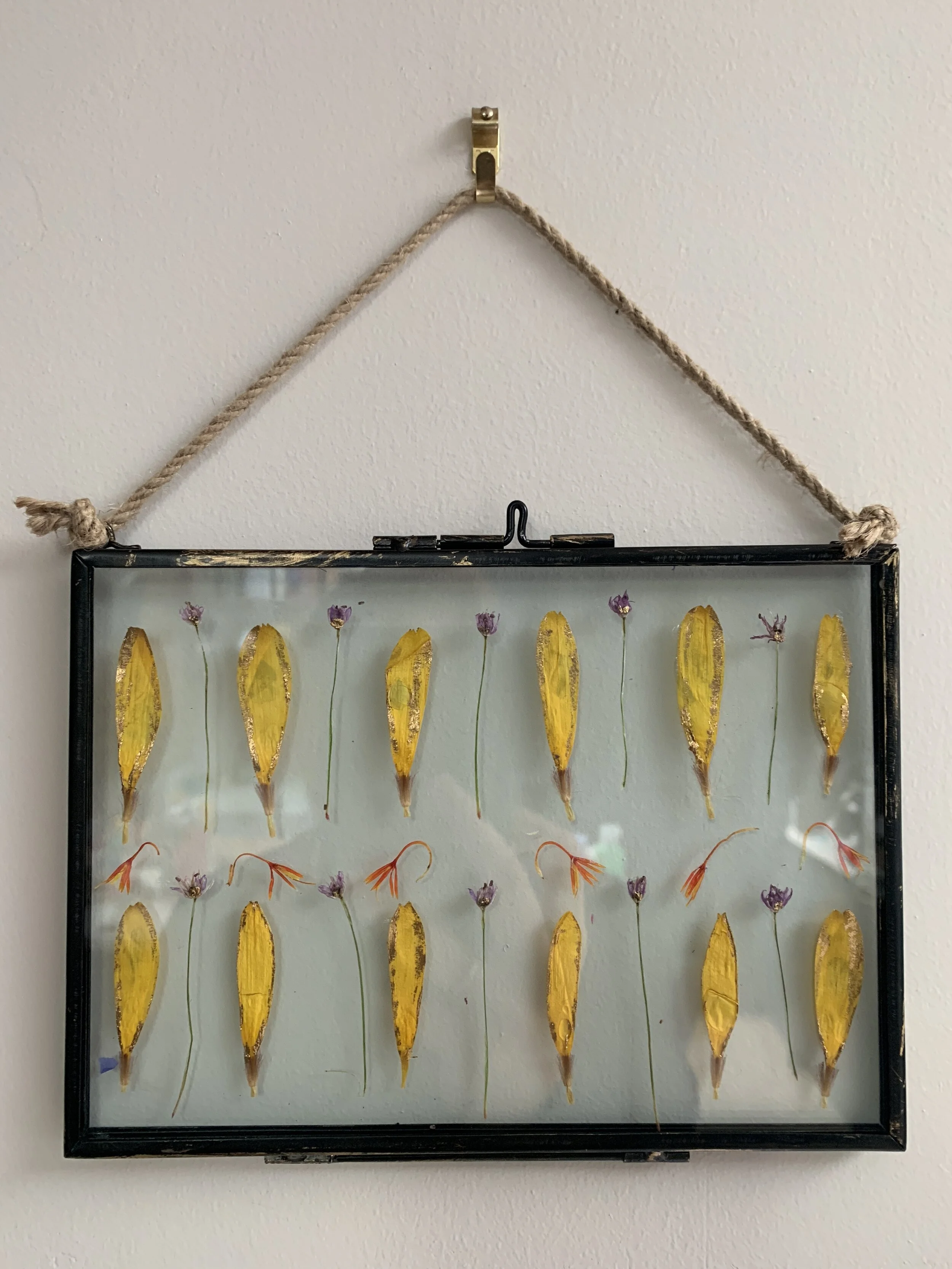 GILDED PRESSED FLOWER FRAME XXXIV