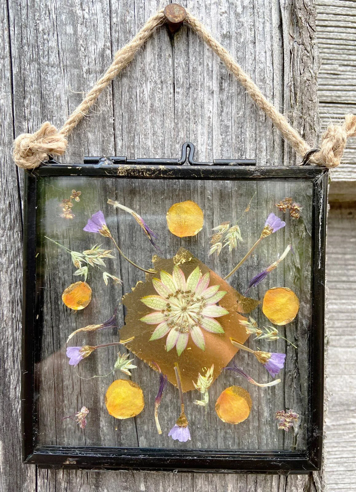 Gilded Pressed Flower Frame LXXXXII
