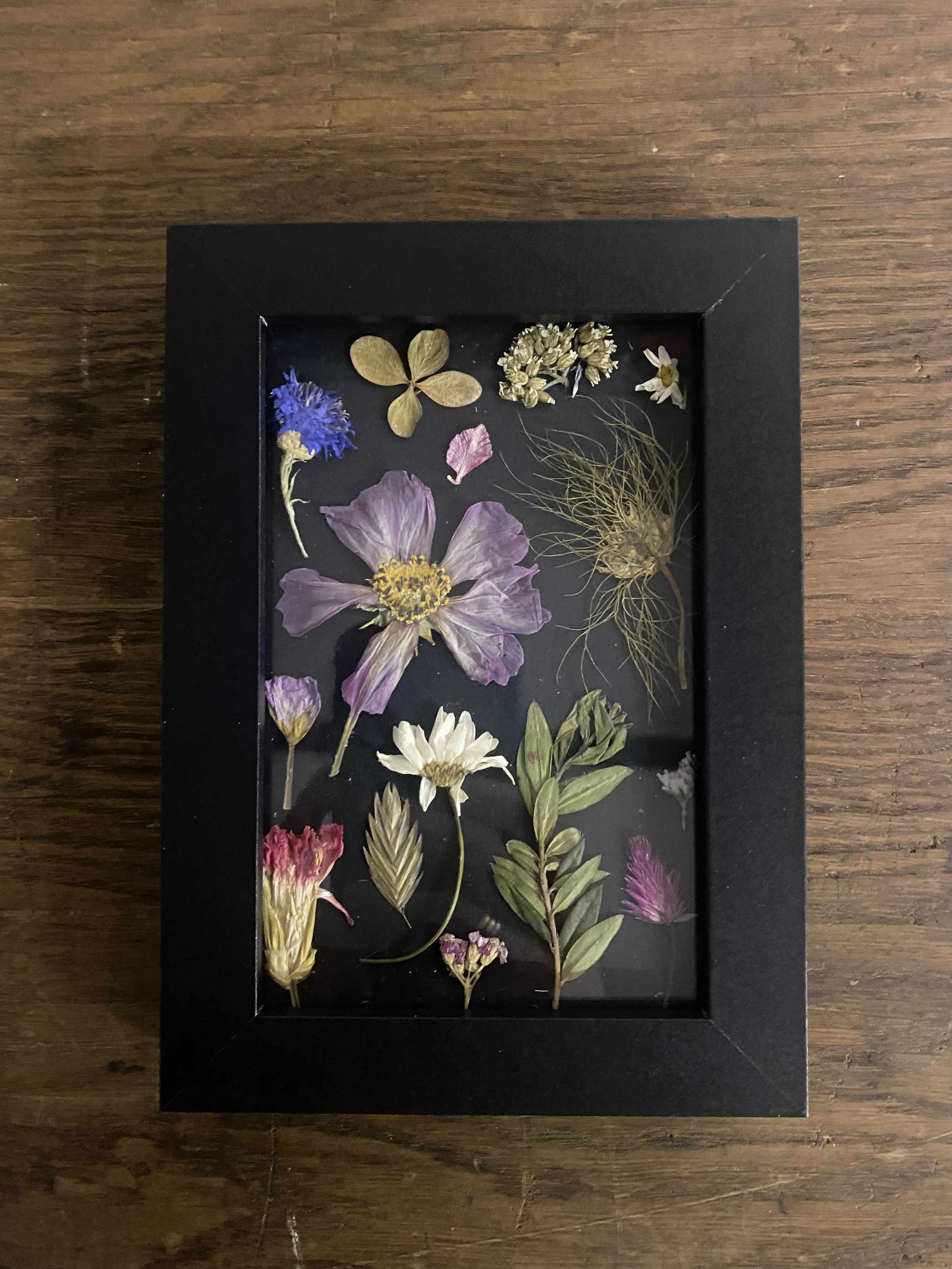 Press Flowers on Black  no.3