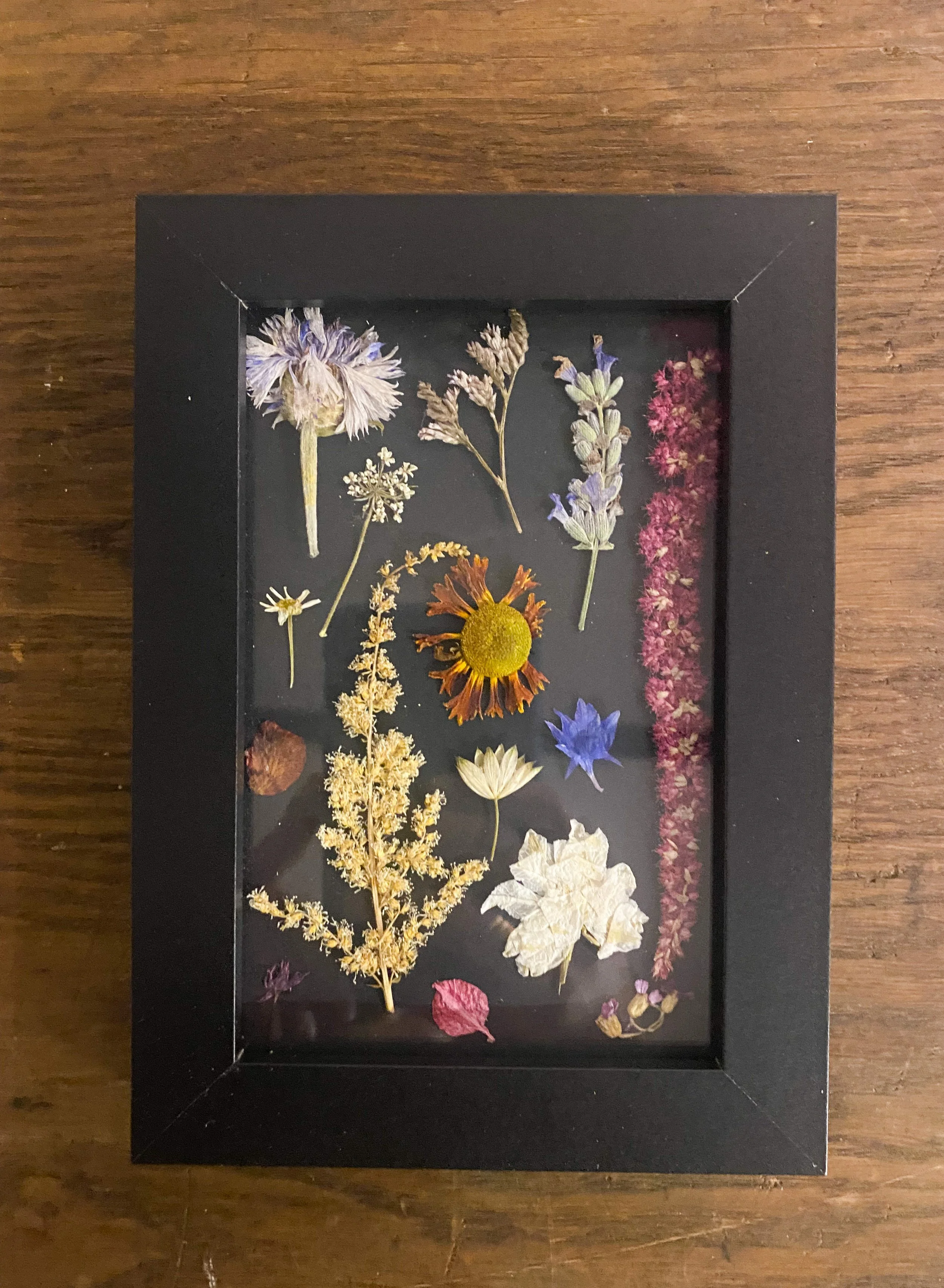 Press Flowers on Black  no.4