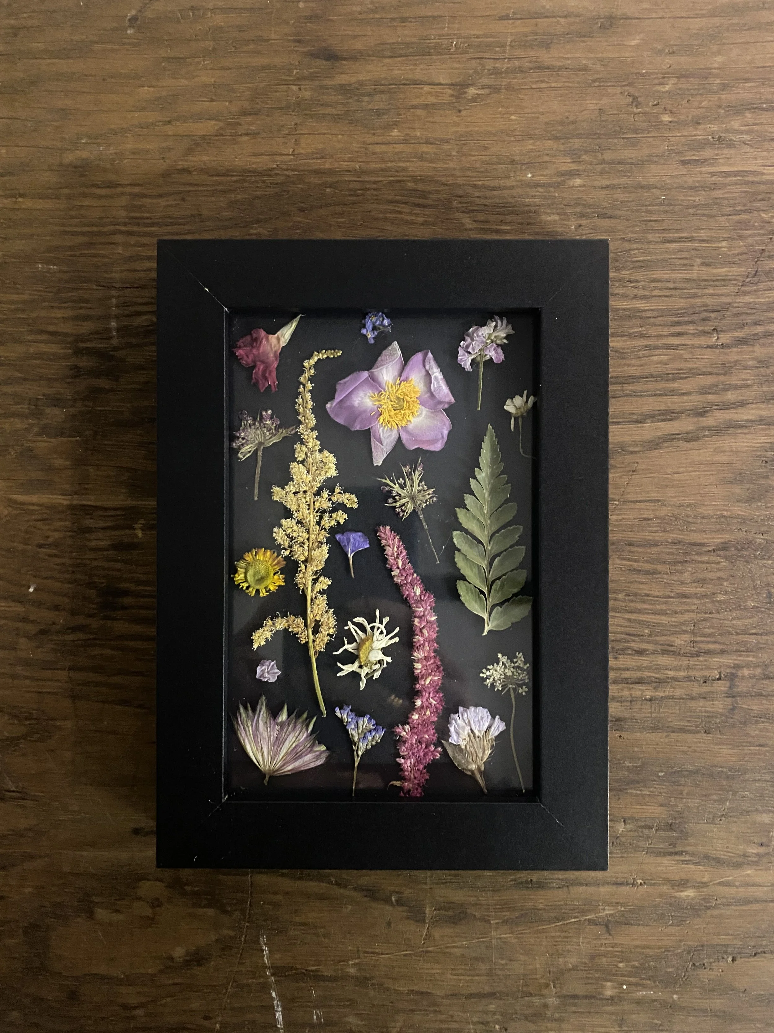 Press Flowers on Black  no.5