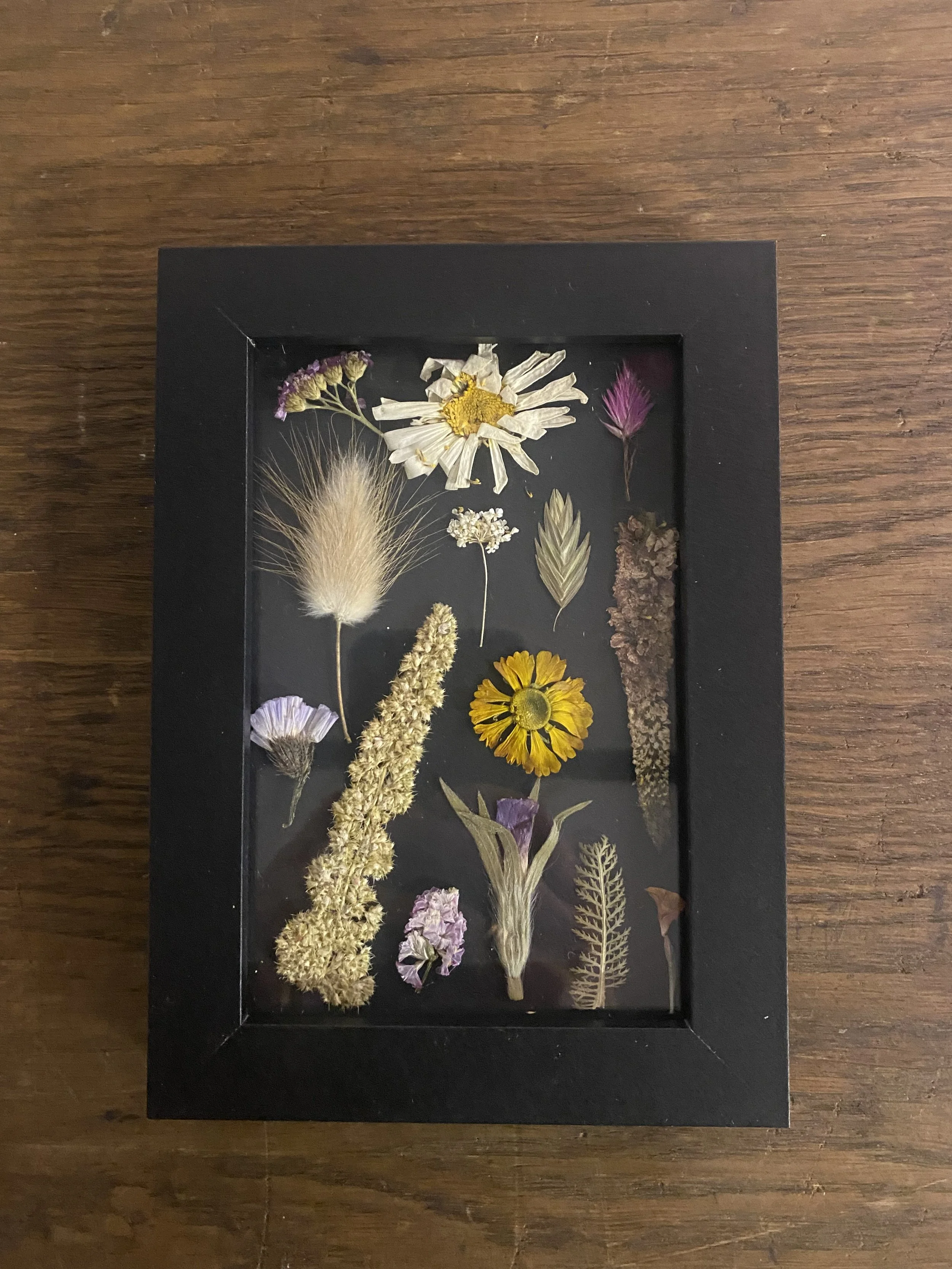 Press Flowers on Black  no.6