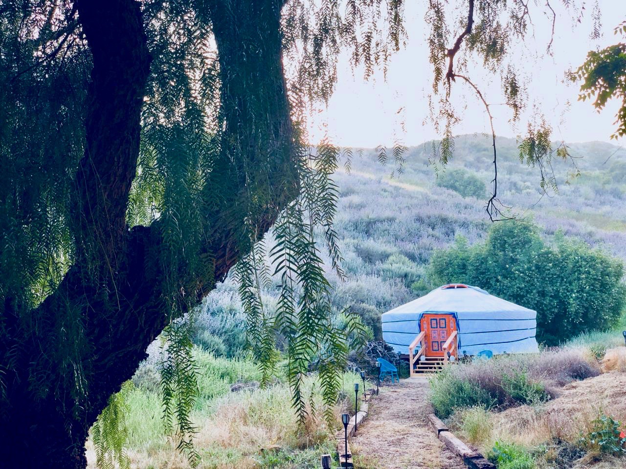 Yangchenma Art Yurt Exterior