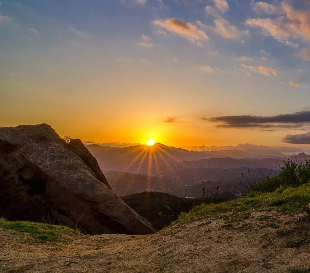 MENTAL HEALTH & SOWA RIGPA (Tibetan Medicine)