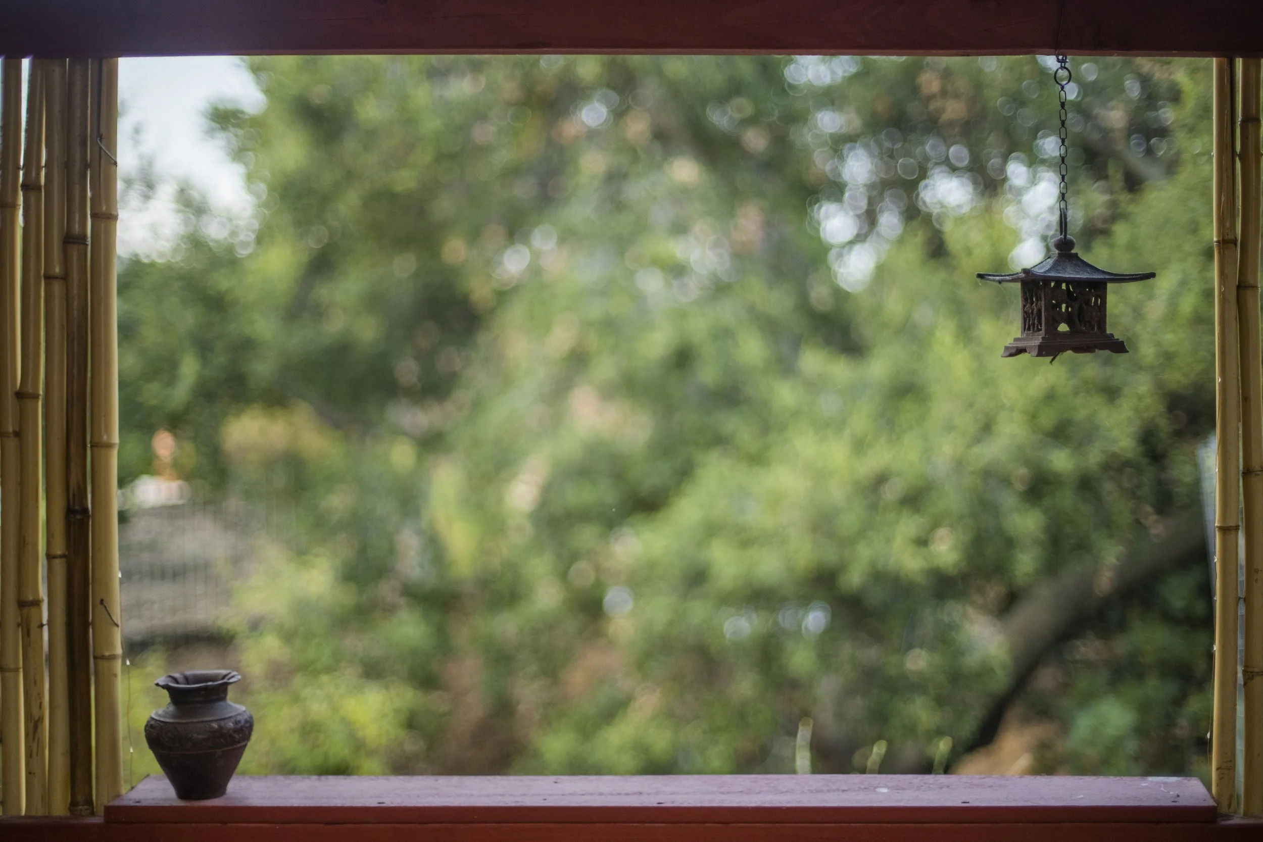 E69A1666-HDR.JPG