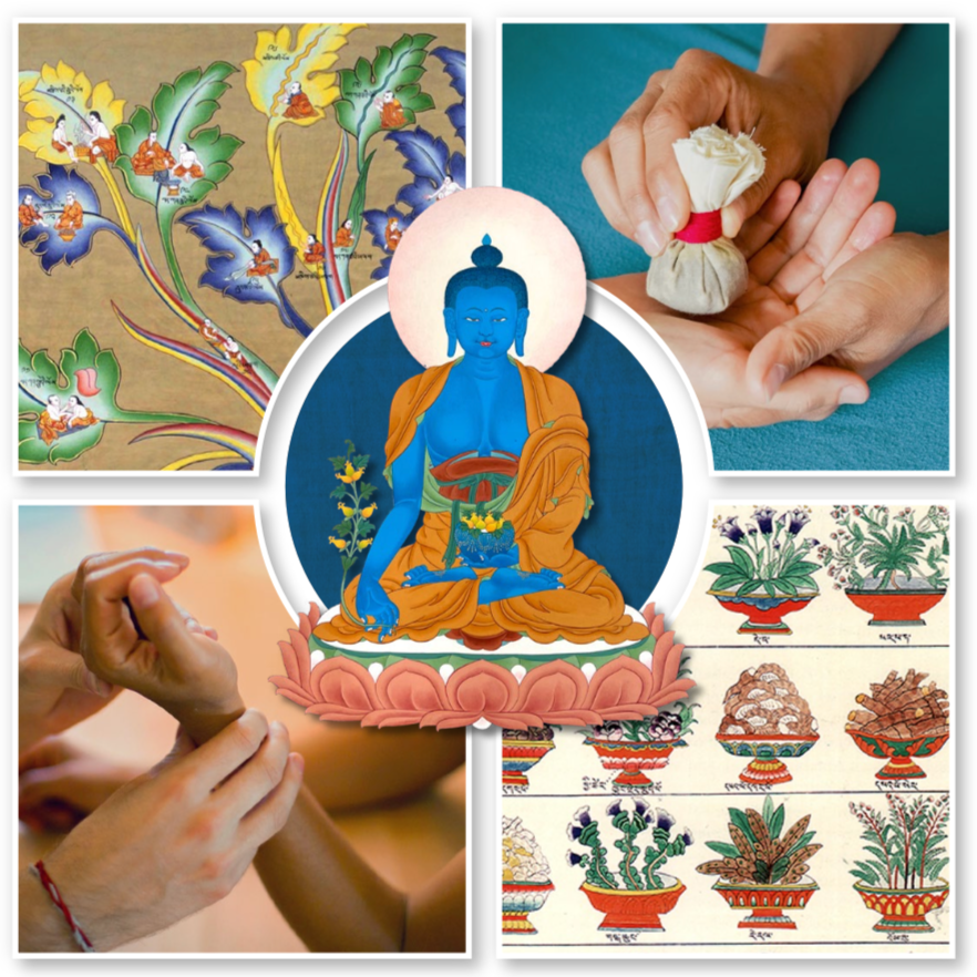 Sowa Rigpa Foundations Winter Meetup