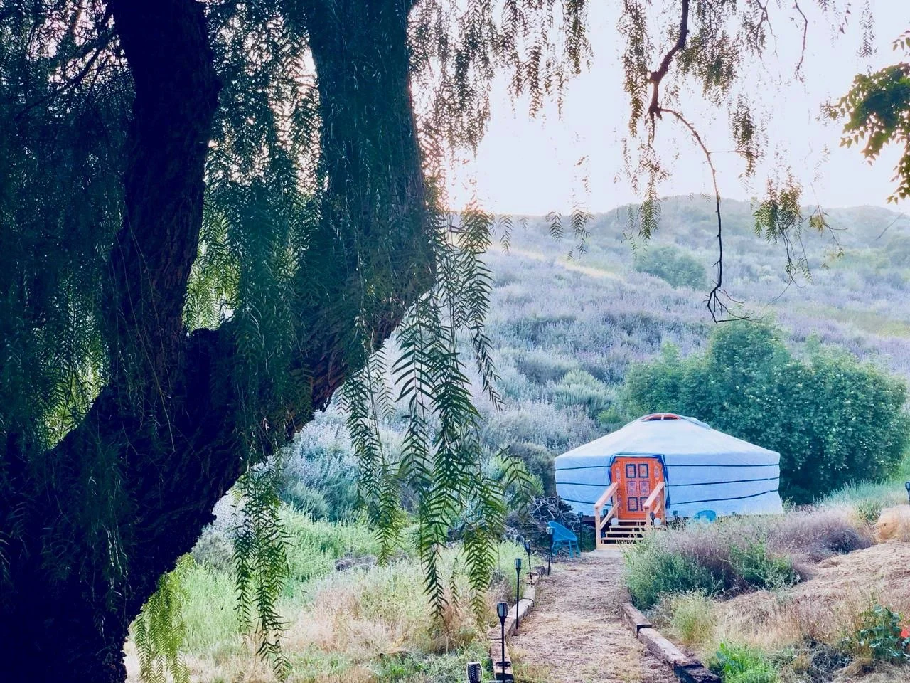 yangchenma yurt exterior.jpeg