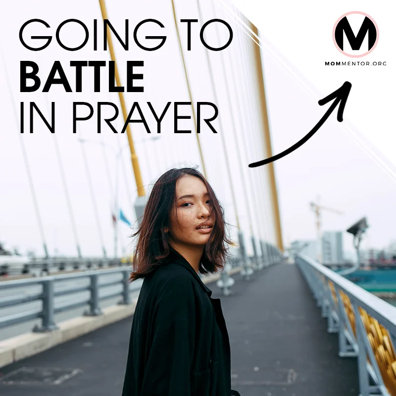 Going to Battle in Prayer Cover Page Image 800x800 PINTEREST.jpg