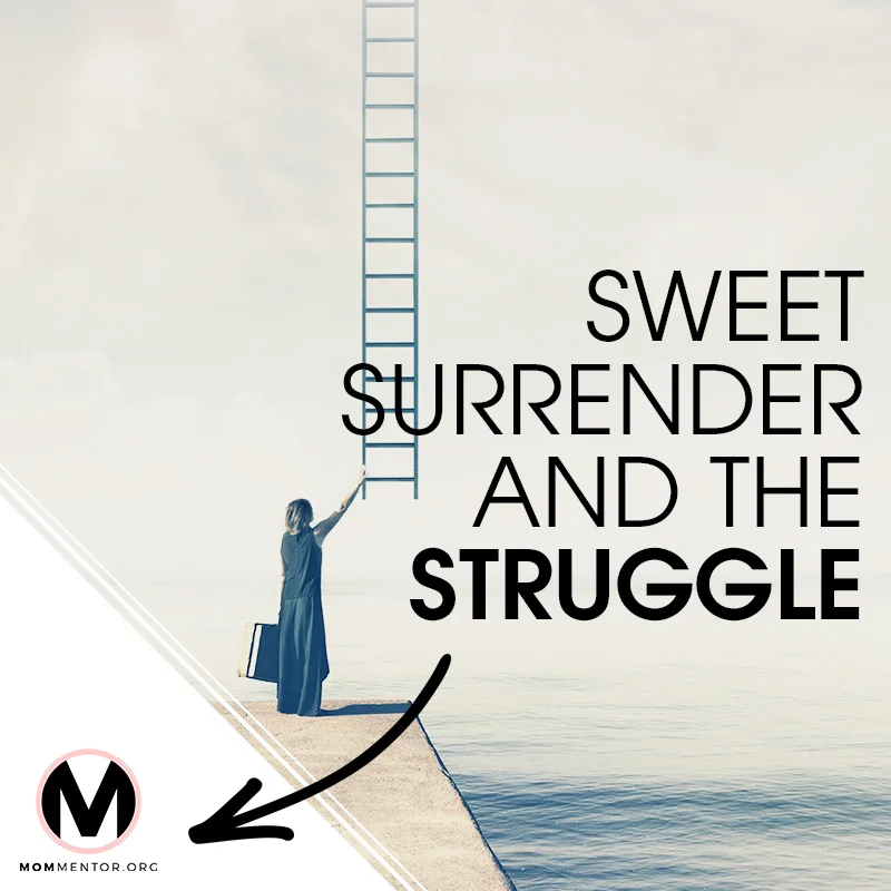 Sweet Surrender and the Struggle Cover Page Image 800x800 PINTEREST.jpg