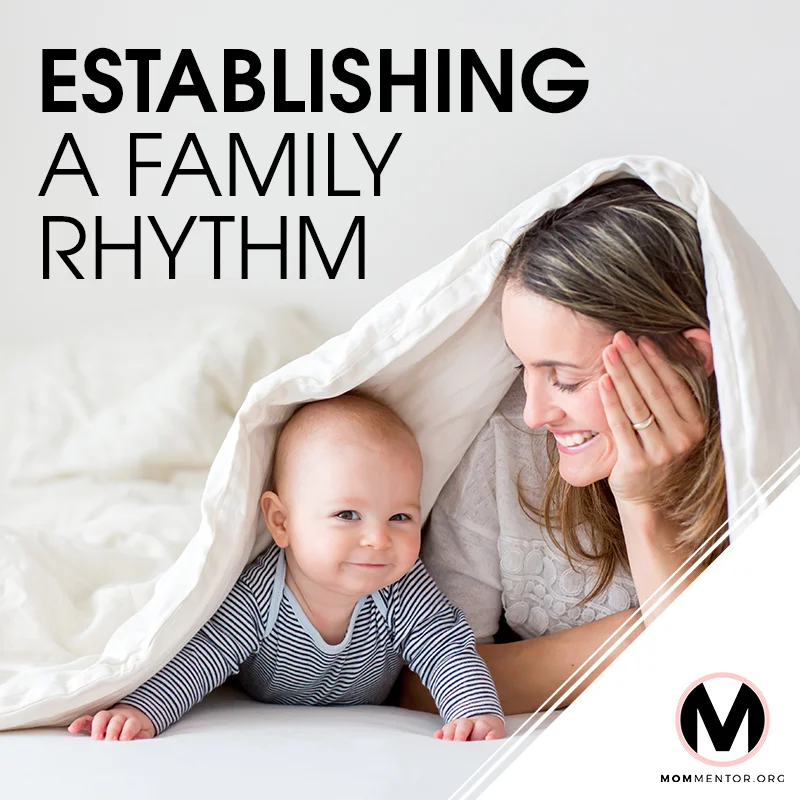 Establishing a Family Rhythm Cover Page Image 800x800 PINTEREST.jpg