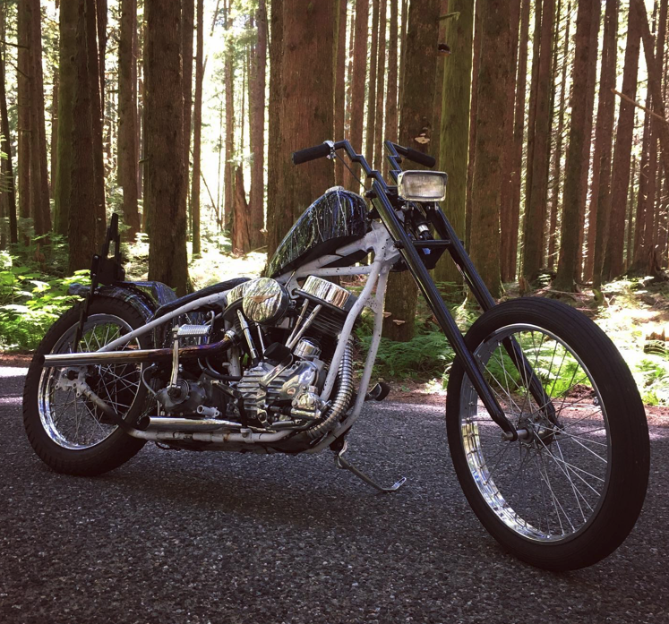 DicE X Shred City Cycles