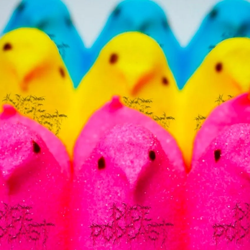 Episode 4 Season 2: Easter Spectacular!