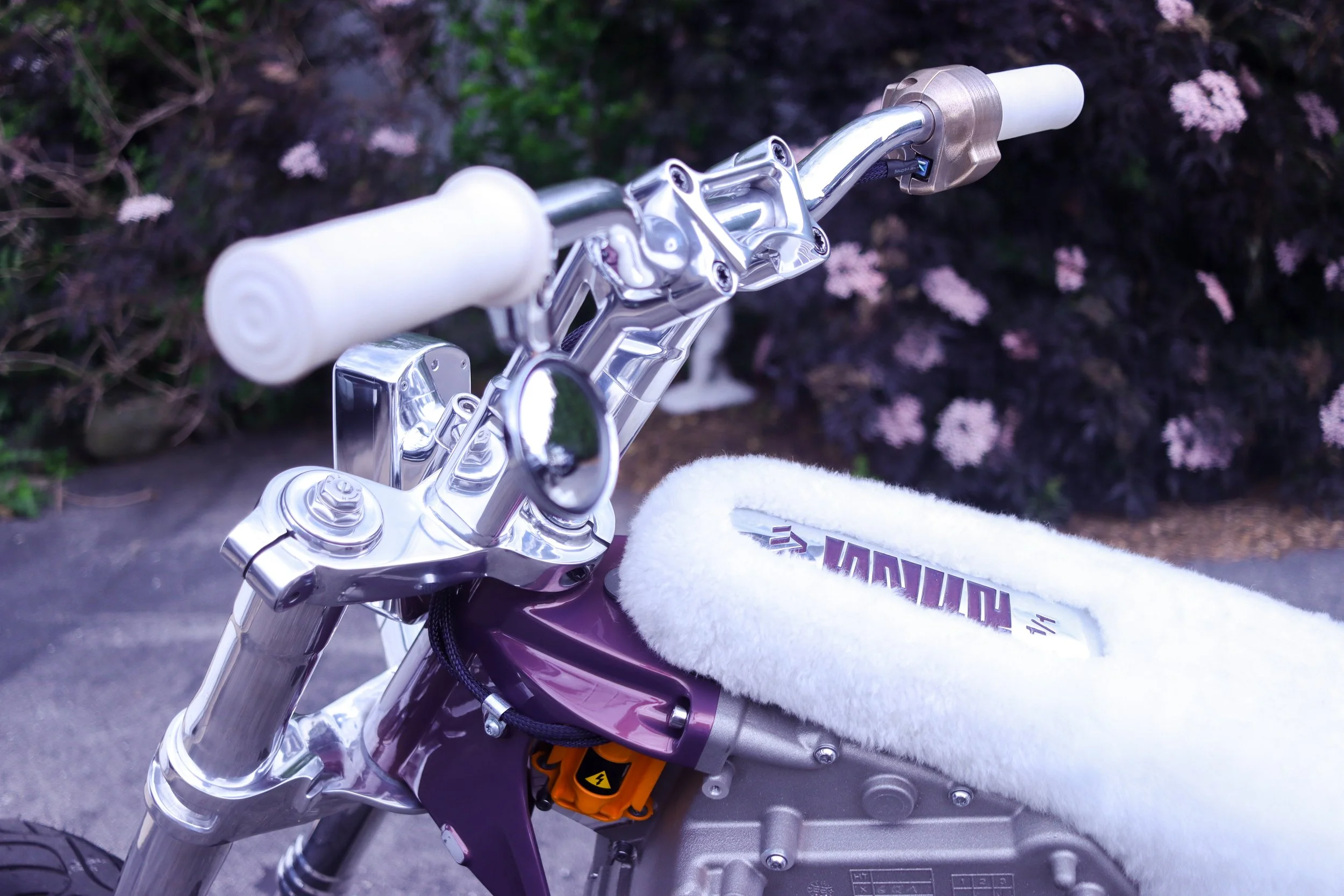 Party at the Pen Mark Kirkland video — DicE Magazine