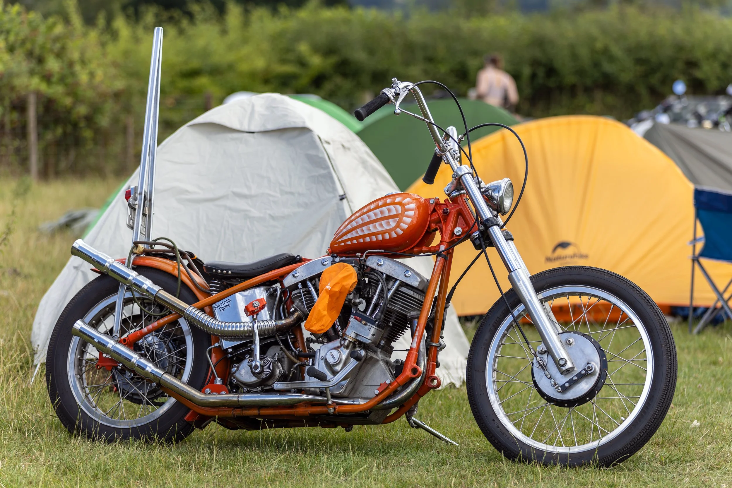 2L4A0126-DxO_DeepPRIME 3.jpeg