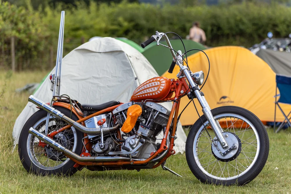 2L4A0126-DxO_DeepPRIME 3.jpeg