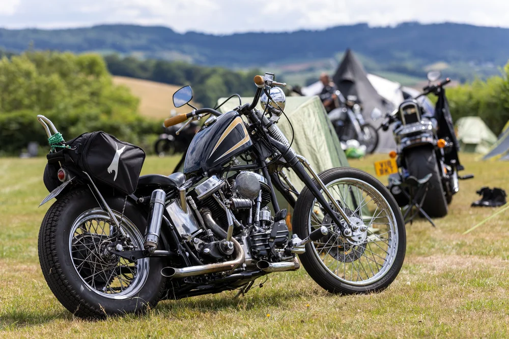 2L4A0111-DxO_DeepPRIME 3.jpeg