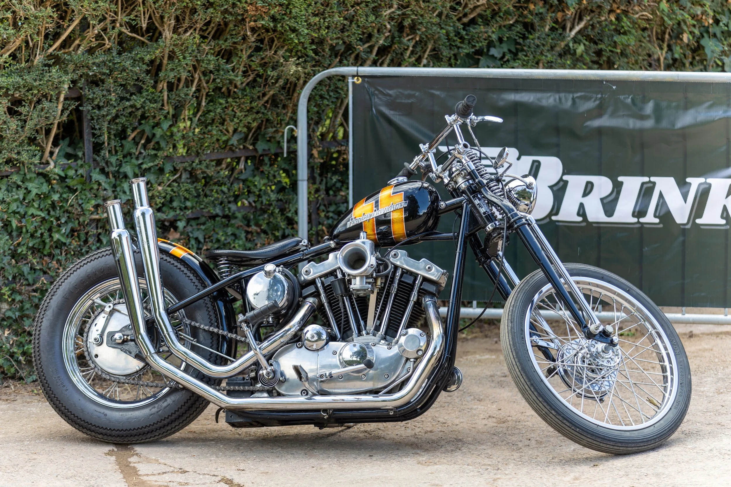 2L4A0171-DxO_DeepPRIME 3.jpeg