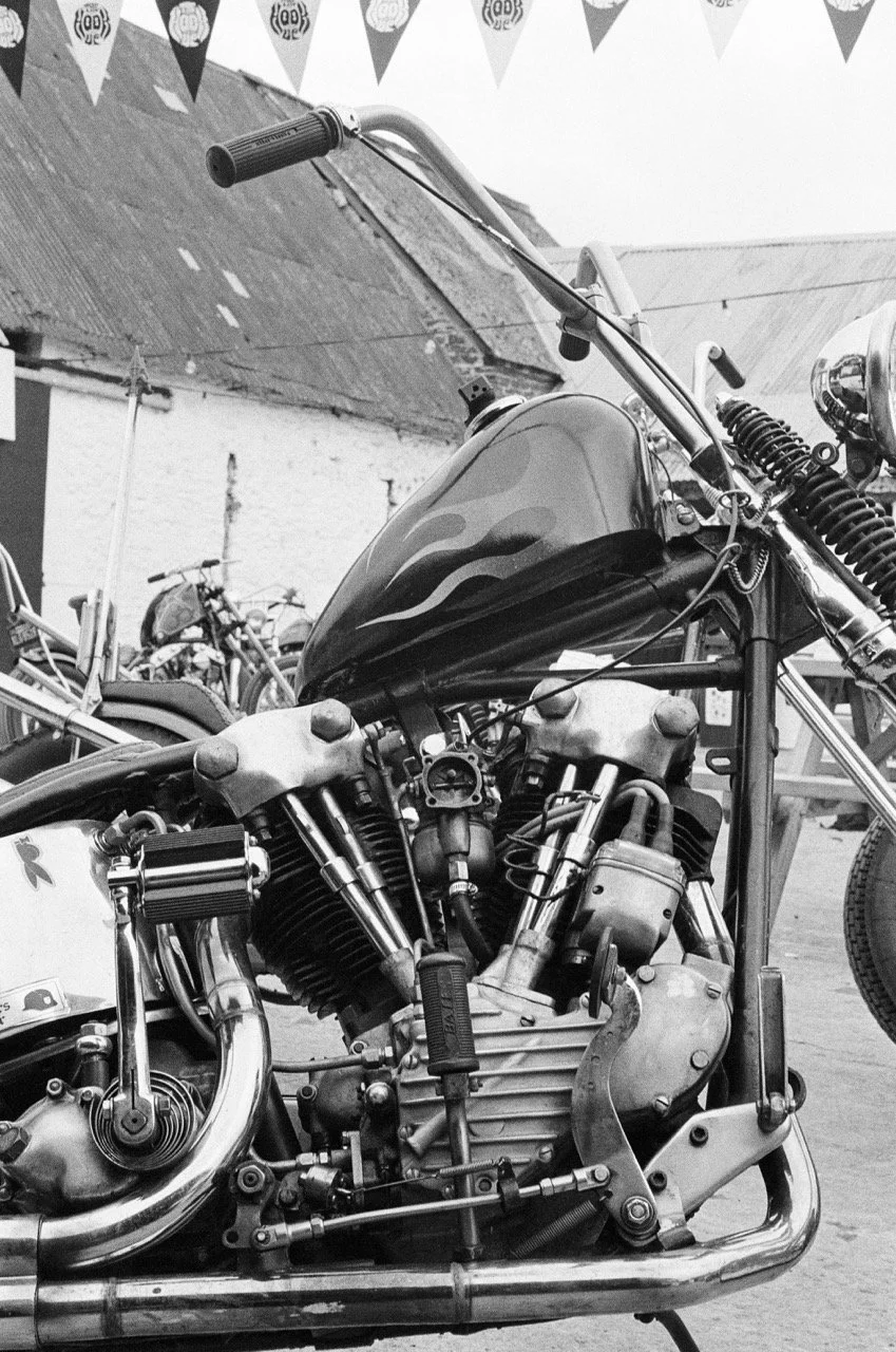 211771020028 Large.jpeg