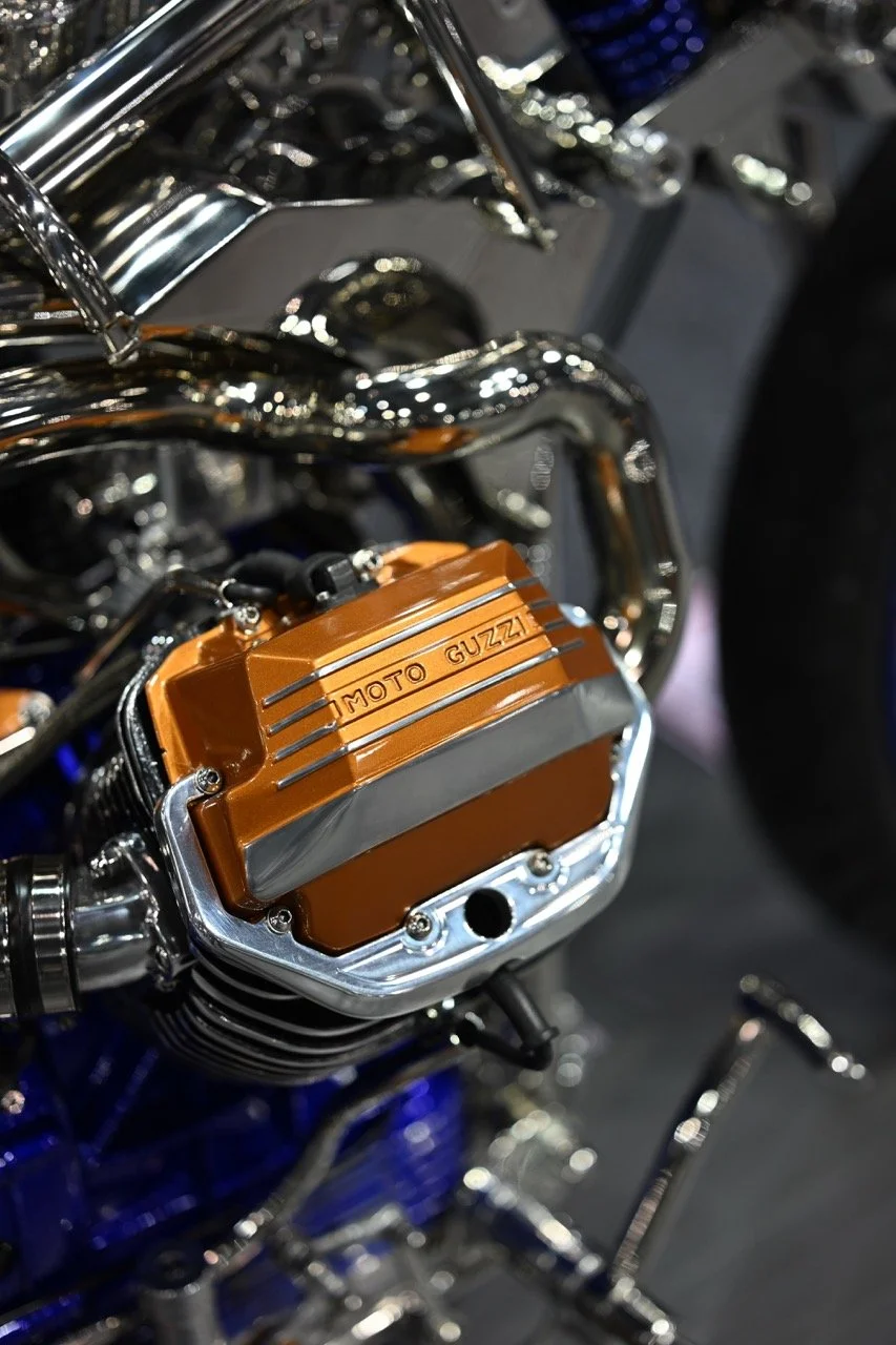 DSC_4789 (1) Large.jpeg