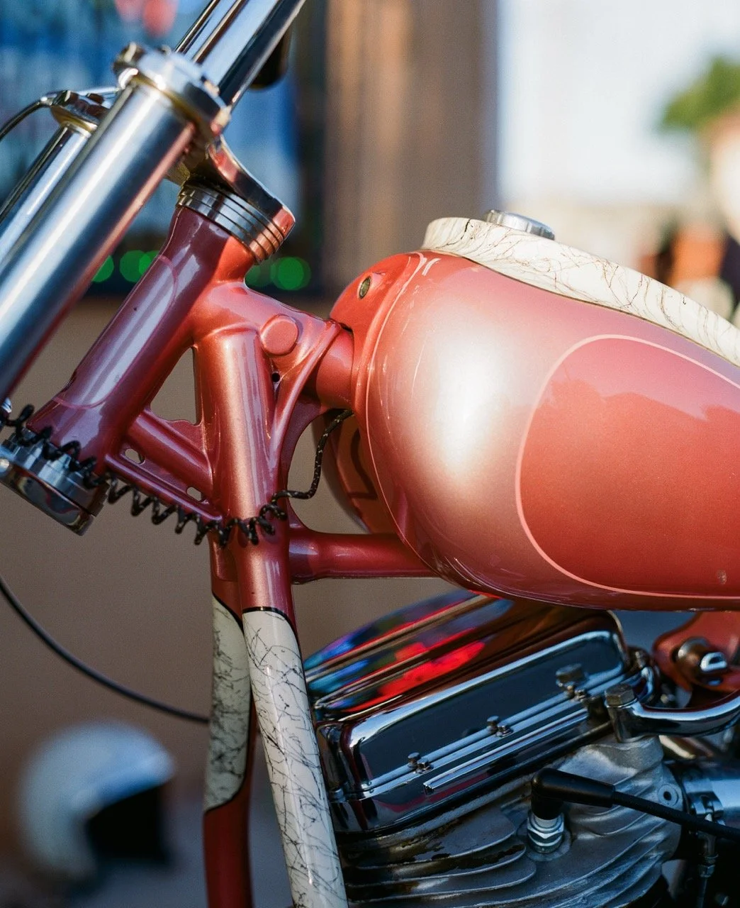 Photo Jan 20 2026, 5 22 02 PM (17) Large.jpeg