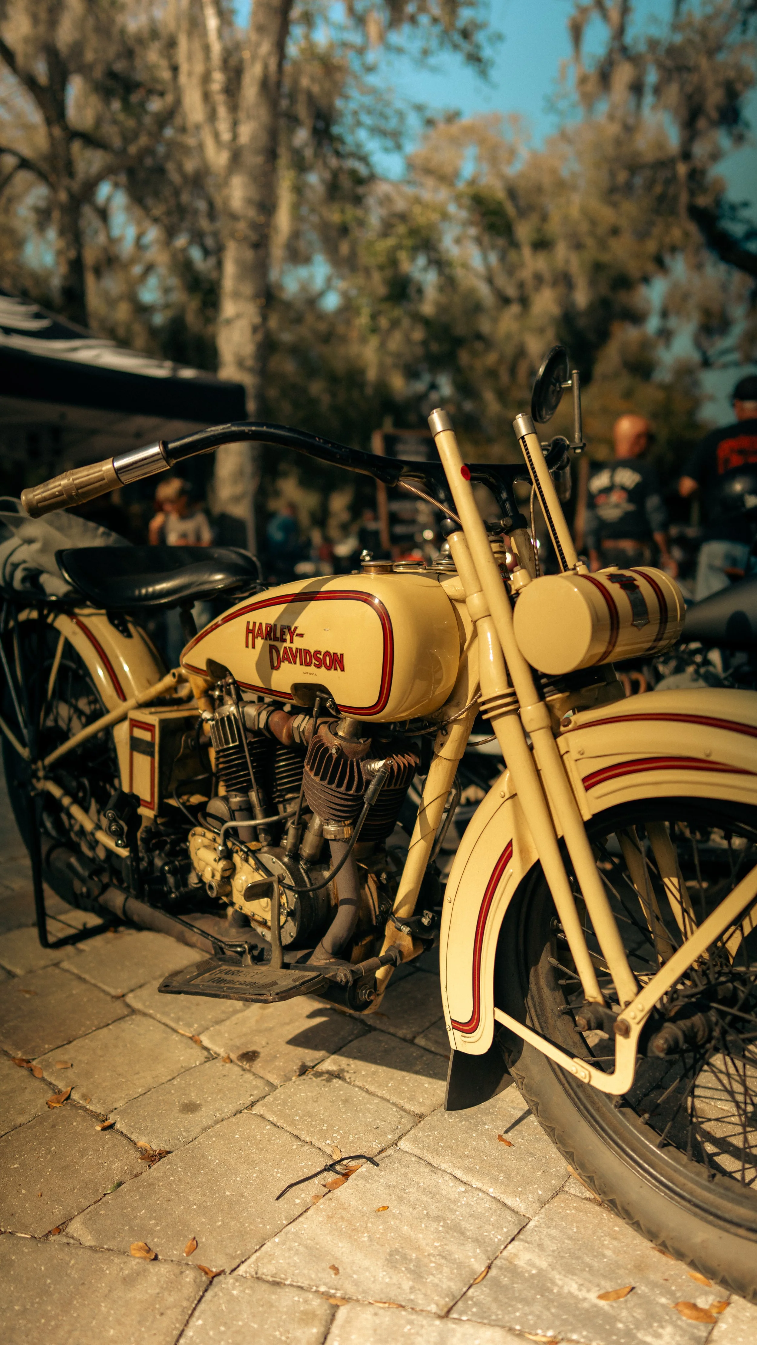 broken spoke vintage motorcycle harley davidson knucklehead flathead shovelhead panhead chopper cry now throw pillow traditional tattoo skeleton goods-32.jpg