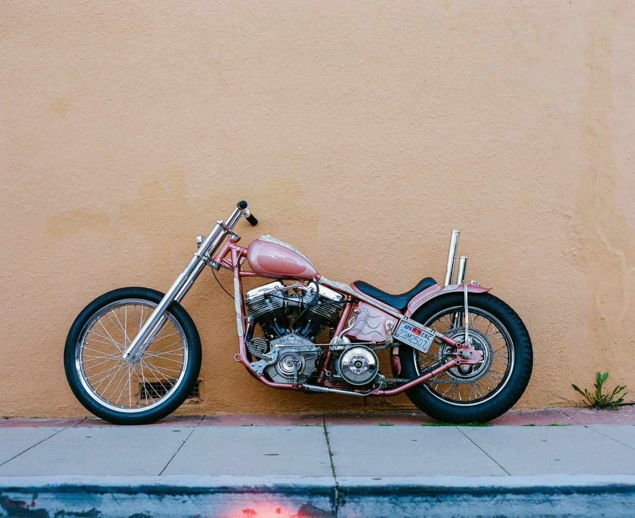 Photo Jan 20 2026, 5 22 02 PM (21) Large.jpeg