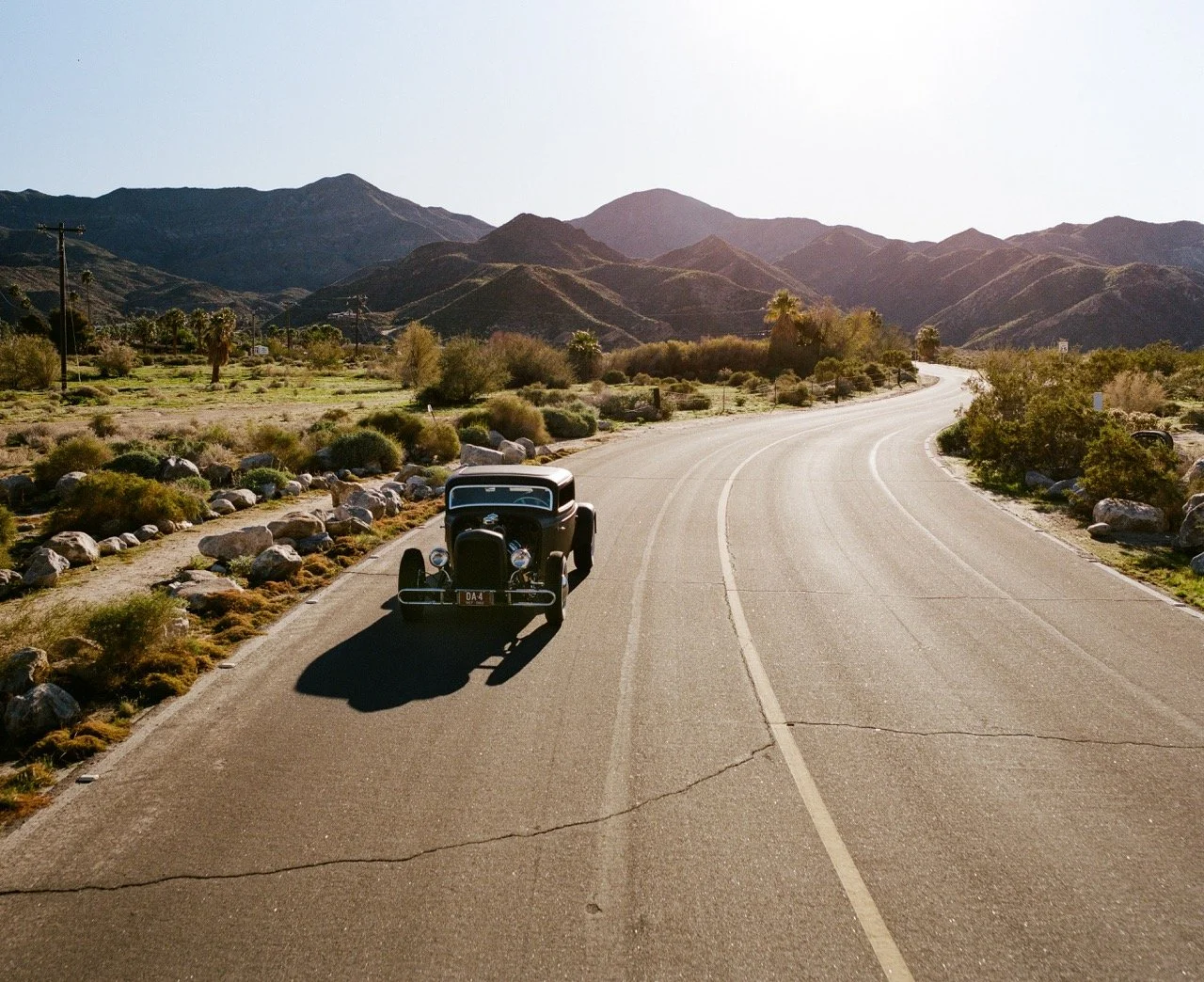 Photo Jan 20 2026, 5 22 02 PM Large.jpeg