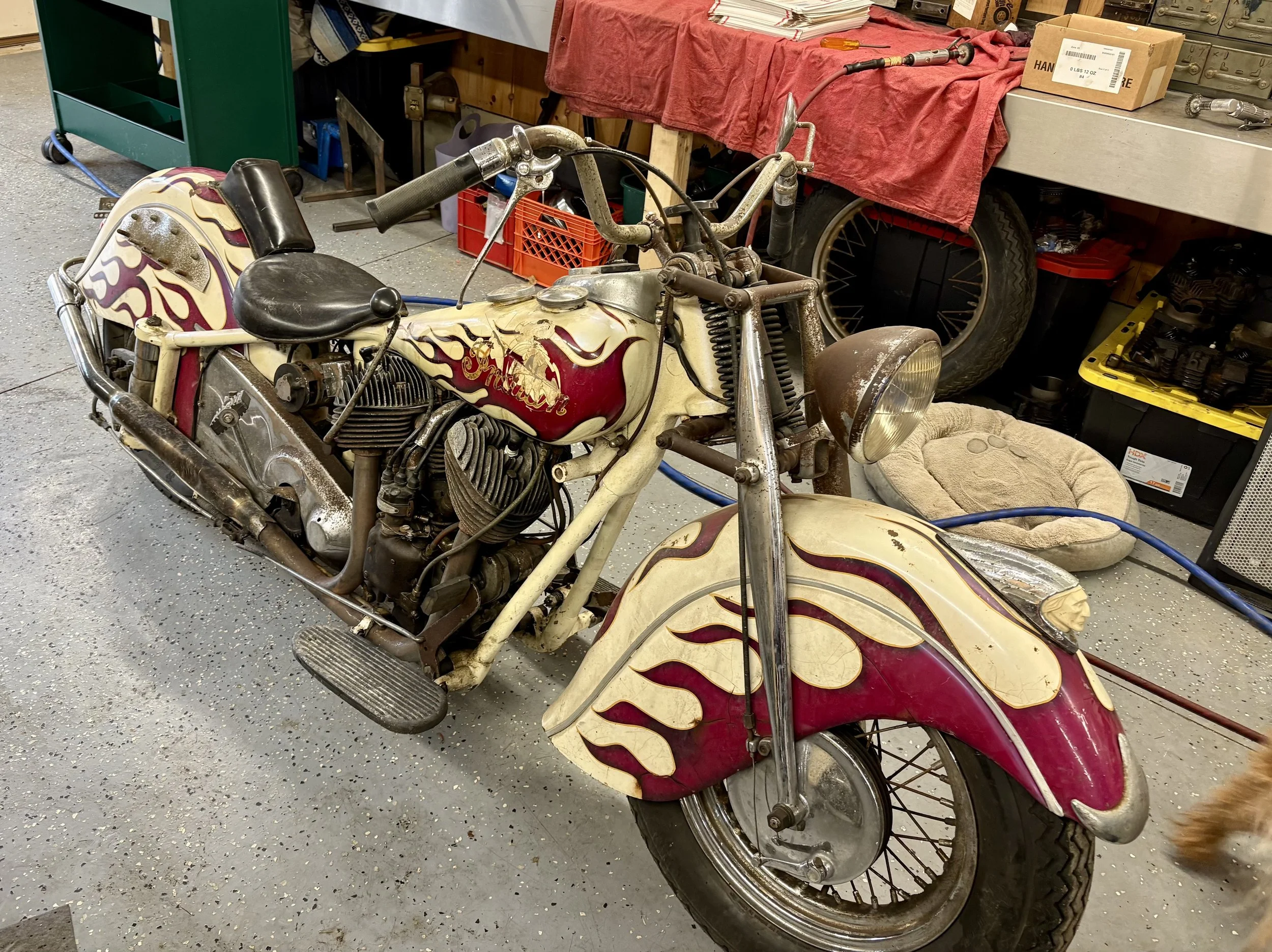indian chief survivor