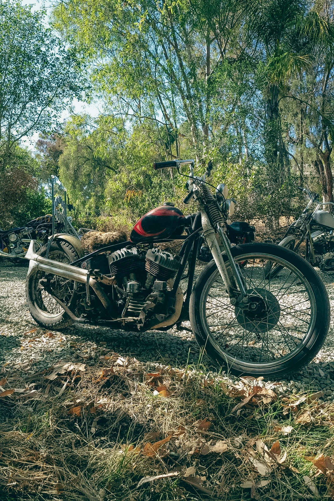 born free choppers temple choppers harley davidson motocycles loo pimble 1980.edits loopimble skeleton goods skeletongoodscry now throw pillow traditional tattoo skeleton goods-17.jpg
